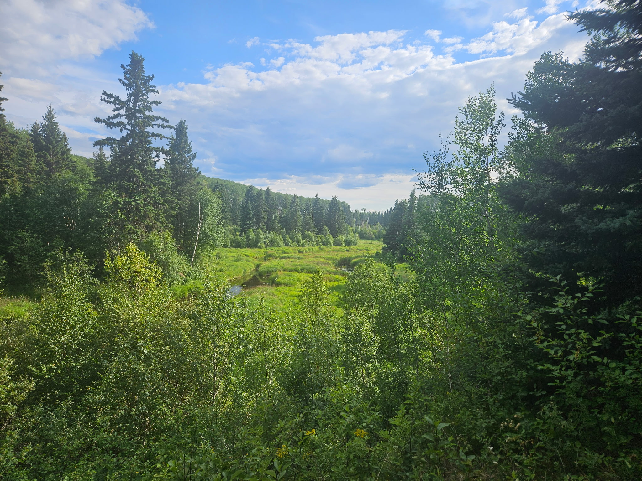 Vast forested landscape. Blue sky with some clouds in the distance.